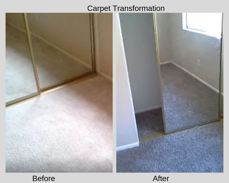 Carpet 2 Transformation